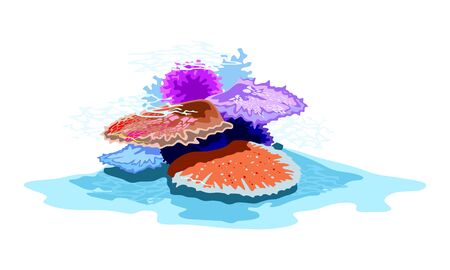 Orange, red, violet, blue beautiful corals under sea water. Colony of marine invertebrates using in jewelry, medicine, construction. Vector illustration isolated on white background.のイラスト素材