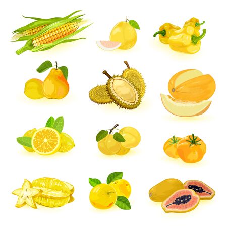 Big yellow fruits and vegetables vector set isolated on white maize, pomelo, bell pepper, pear, durian, melon, lemon, cherry plums, tomato, carambola, apple, papaya Summer harvestのイラスト素材
