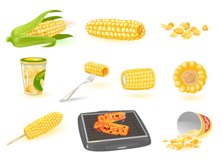 Collection of golden maize harvest, popcorn, sweet corn, delicious vegetable. Vector agriculture meal, fried and boiled product, vegetarianism, nutrition idea isolated on white backgroundの写真素材