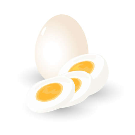 Soft boiled chicken whole and sliced eggs, egg white and yolk. Vector quick breakfast, protein and vitamins, healthy food, home cooking design. Isolated on white backgroundのイラスト素材