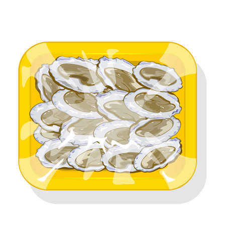 Cartoon of raw clam in shell, package of iced seafood product. Vector ocean food delivery to restaurants and cafe, plastic tray. Concept of eating, cooking, healthy food isolated on white backgroundのイラスト素材