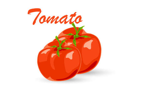 Red ripe tomatoes on stem with leaves, fresh food product, grocery. Vector cluster of natural farm ingredient, vegetarian healthy eating design. Isolated on white backgroundのイラスト素材