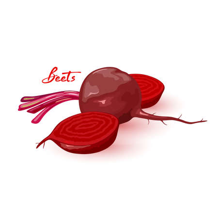 Red beet with tails, whole beetroot product, organic and natural. Vector useful juicy vegetable, vegetarianism and raw healthy eating design. Isolated on white backgroundのイラスト素材