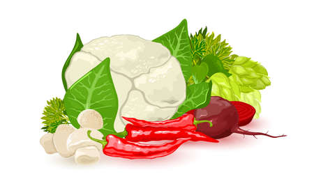 Collection of seasonal farm harvest, vegetables shopping. Vector fresh raw food, clean eating, vitamins and minerals, uncooked ingredients, food idea isolated on white backgroundのイラスト素材