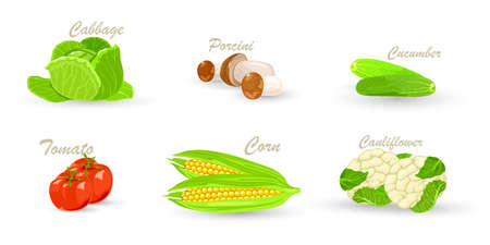 Cartoon set of healthy vegetables, cabbage, mushroom, cucumber, tomato, corn, cauliflower. Vector ripe organic ingredients for cook. Idea of vegetarian, clean eating, food shopping isolated on whiteのイラスト素材