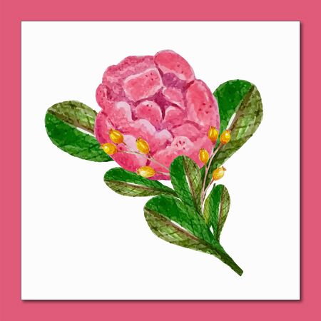 watercolor floral bouquetのイラスト素材