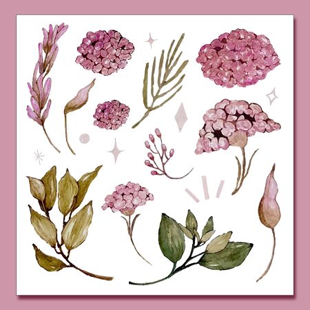 Vintage purple floral collection with leave and flowers,drawing watercolor florals,set of beautiful  floral element for your artwork.のイラスト素材