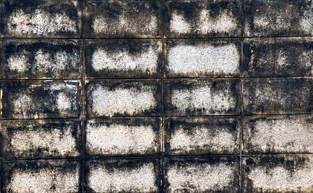 moldy wall texture