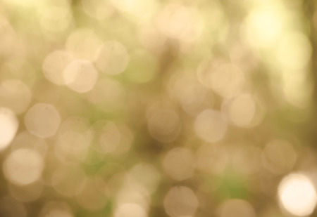 a image of beautiful bokehの写真素材