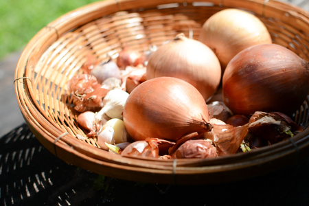 onion and garlic in basketの写真素材