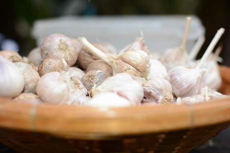 Garlic in basket.の写真素材