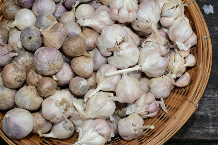 Garlic in basket.の写真素材