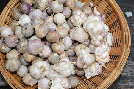 Garlic in basket.の写真素材