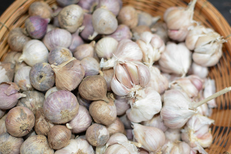 Garlic in basket.の写真素材