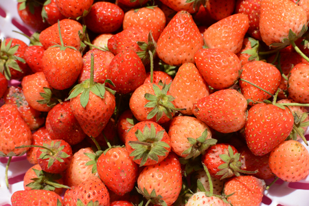 stawberryの写真素材