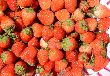 stawberryの写真素材