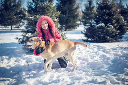 girl with a dog Labrador puppy playing in winter outdoors funの写真素材