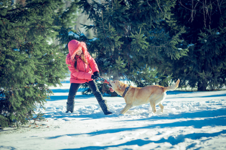 girl with a dog Labrador puppy playing in winter outdoors funの写真素材