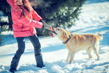 girl with a dog Labrador puppy playing in winter outdoors funの写真素材