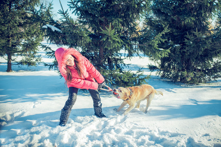girl with a dog Labrador puppy playing in winter outdoors funの写真素材