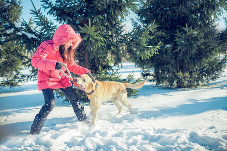 girl with a dog Labrador puppy playing in winter outdoors funの写真素材