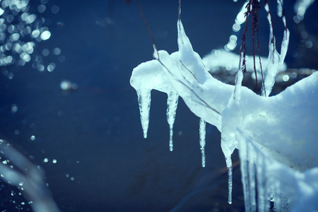 Close-up of ice on a tree in winterの写真素材