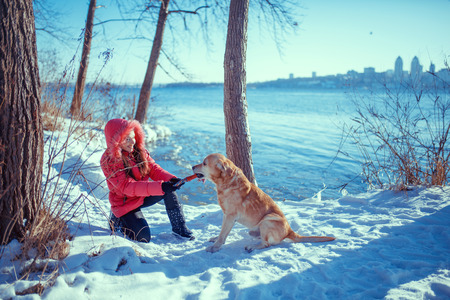 girl with a dog Labrador puppy playing in winter outdoors funの写真素材