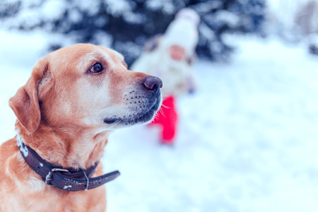family with dog having fun in the snowの写真素材
