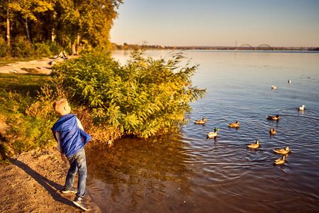 Happy teenager throws bread to ducks in the riverの写真素材
