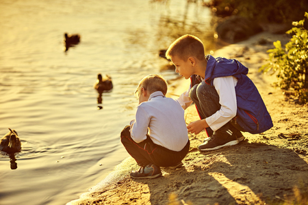 Two friends feed the ducks in the riverの写真素材