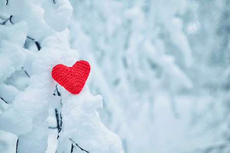 Happy couple  over a campfire in winter snowy forestの写真素材