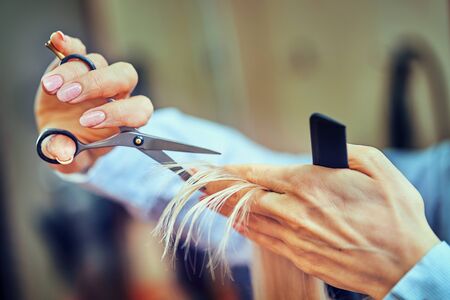 cropped image of hairdresser trimming ends of blonde hair