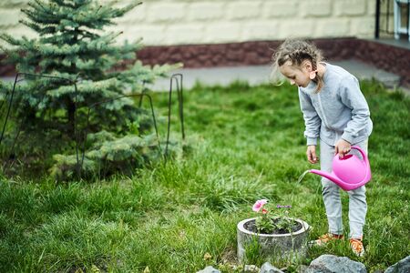Child girl watering flowers in garden from canの写真素材