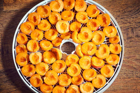 Organic Dried Apricots made with Dehydrator. Selective focus.