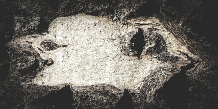 Rough wall background for product mountingの写真素材