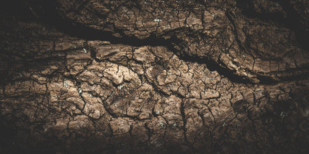 Rough wall background for product mountingの写真素材