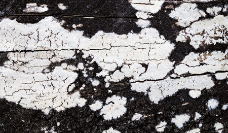 old wood texture distressed grunge background, scratched white paint on planks of wood wall