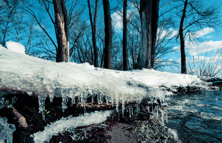 Icicle, dirty ice stalactite sharpened downward when melting dirty snowの写真素材