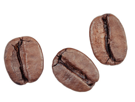 Coffee beans isolated on white backgroundの写真素材