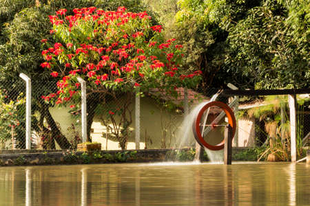 A water mill, or water mill, is any type of mechanism capable of harnessing the kinetic energy of the movement of water, and which allows grinding grains, irrigating large rice paddies, and draining wetlands.の写真素材