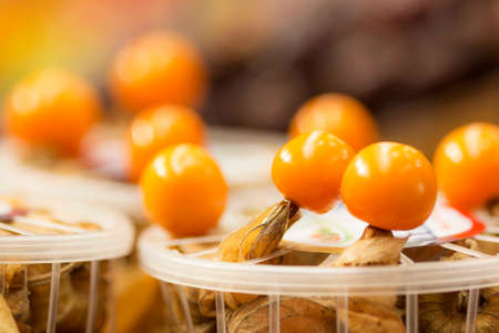 Pygmy cherry or Physalis minima is a species of perennial herb belonging to the Solanaceae family. Native gooseberry, wild cape gooseberry and pygmy cherry.の写真素材