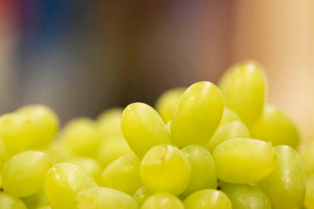 The grape is the fruit of the vine is a plant of the family of Vitaceae. It is often used to produce...
