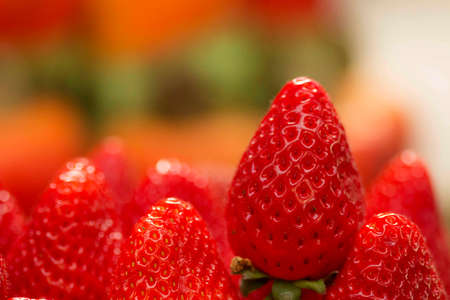 Strawberry (Fragaria Ã ananassa) is considered, in vulgar language, as the red fruit of the strawberry, of the rosaceae family.の写真素材