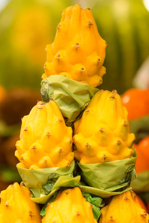 The pitaya, also known as dragon fruit, is the fruit of several species of epiphytic cacti of the genera Hylocereus and Selenicereus.の写真素材
