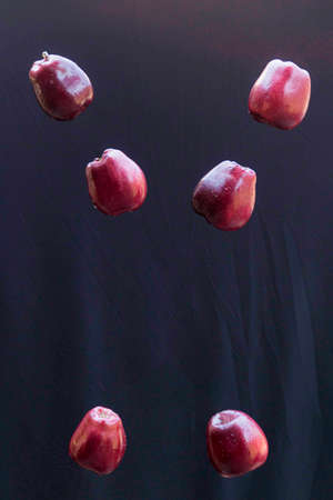 The apple is the pomaceous pseudofruit of the apple tree (Malus domestica), a tree in the Rosaceae family. It is one of the most cultivated tree pseudofruits, and the best known of the many members of the Malus genus.の写真素材