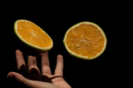 The orange is the fruit of the orange tree (Citrus Ã sinensis), a tree in the Rutaceae family. It is a hybrid fruit that would have emerged in antiquity from the crossing of pomelo with tangerine.の写真素材