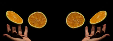 The orange is the fruit of the orange tree (Citrus Ã sinensis), a tree in the Rutaceae family. It is a hybrid fruit that would have emerged in antiquity from the crossing of pomelo with tangerine.の写真素材