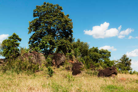 Landscape with tree, stone and blue sky. In the center west of Brazil. Serrado region of Goias.の写真素材