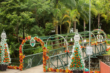 Guararema Cidade Natal, based on the principle of environmental awareness in schools and in society, assumes a commitment to the environment and also becomes a tourist attraction and job creation.の写真素材