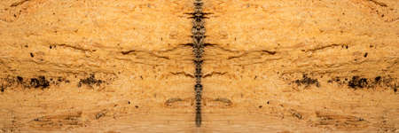 Wood surface texture. Tree trunk cut leaving the bark and all the fiber of the wood exposed.